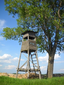 Bliżej natury - myślistwo