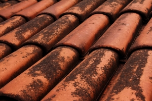 Wiosenne remonty i przebudowy