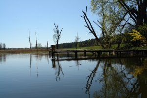 reastaracja Katowice