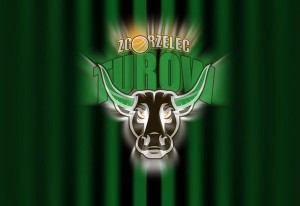 Sukcesy zespołu PGE Turów Zgorzelec